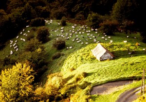 Image du Pays Basque-1