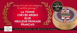 WCA Best french cheese GMS