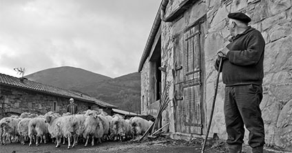 producteurs fromage noir et blanc