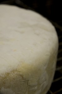 Cave d'affinage - Affinage 1 mois - Fromage basque - Onetik